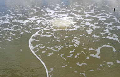 Sá»¥c khÃ­ nuÃ´i tÃ´m