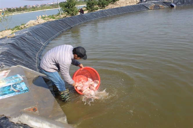 th-c-gi-ng-trong-b-nui-cng-ngh-isrel124944650