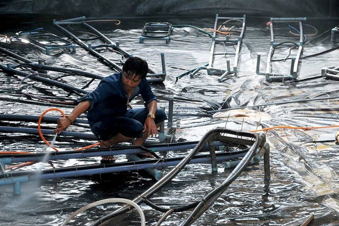 08-13-46_1_nuoi_tom_cong_nghe_co_cn_von_du_tu_bn_du_lon_nhung_gim_duoc_tc_dong_bt_loi_tu_moi_truong_hieu_qu_co_1