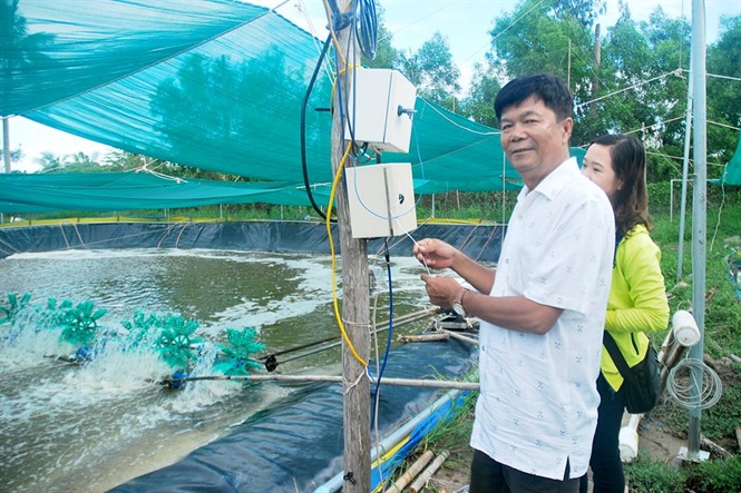 08-13-46_2_ong_gin_thuong_xuyen_qun_st_chm_soc_o_tom_trong_suot_qu_trinh_nuoi