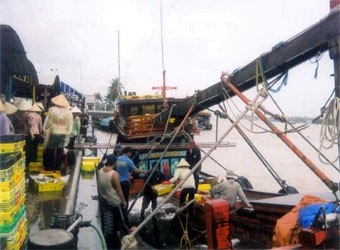 Kháº¯c phá»¥c tháº» vÃ ng cho thá»§y sáº£n Viá»t Nam: Nhiá»u tÃ­n hiá»u vui