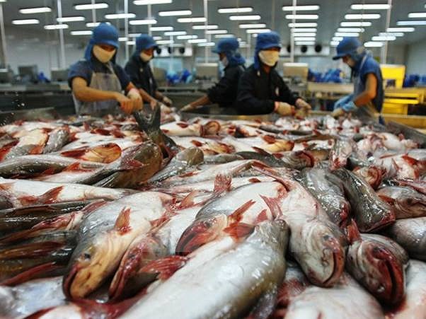 nếu bị eu rút thẻ đỏ, kim ngạch xuất khẩu hải sản mất gần nửa tỷ usd/năm hình 1