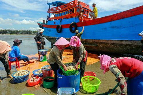 ong-nguyen-thien-nhan-sap-nhap-can-gio-vao-tp-hcm-la-quyet-dinh-lich-su-1384