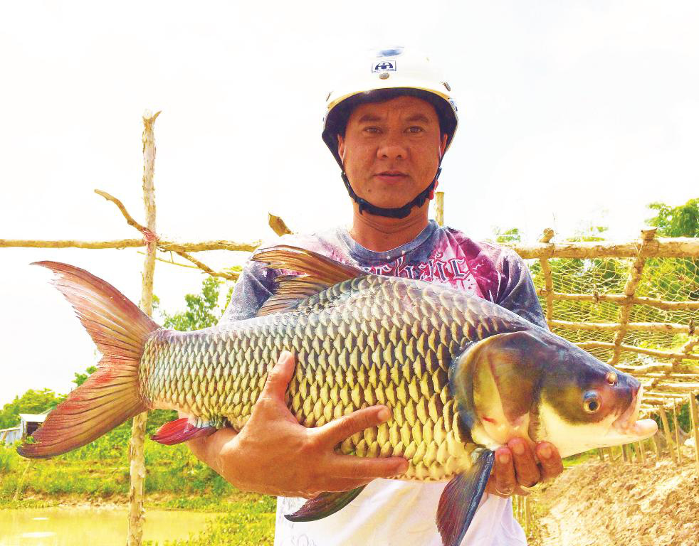 An Giang: Xóm "Yết Kiêu" độc nhất vô nhị ở miền Tây, thời lặn dưới đáy sông bắt được cá khủng 200 kg còn không! - Ảnh 1.