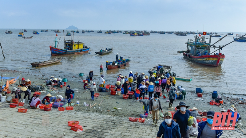 Ảnh theo dõi NDSXTB Tết Nhâm Dần 2022